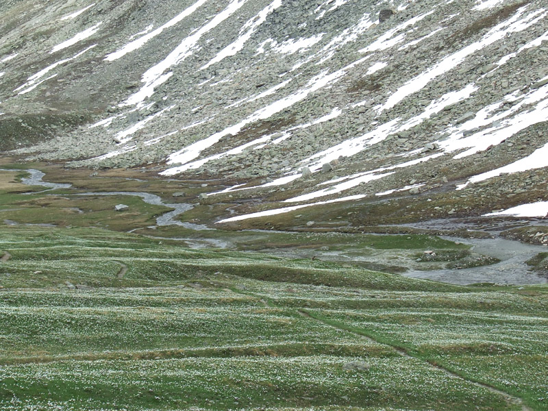 un metro quadrato di  paradiso - parco del gran paradiso